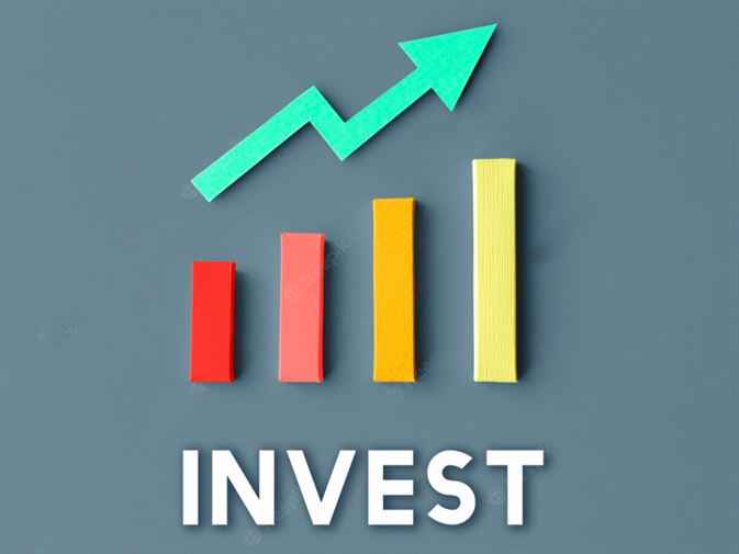 Al Baraka Investment